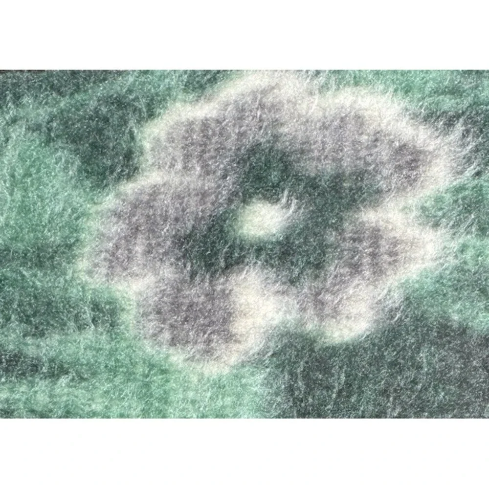 Vintage Kitten Cat Blanket Soft Plush Floral Throw Cottagecore 77x52 RARE